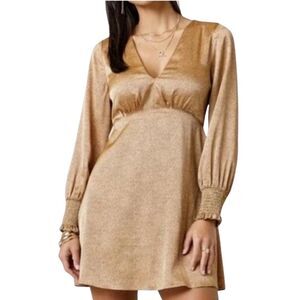Francesca's Mi Ami Bronze Satin Animal Print V Neck Mini Dress Smocked Cuff M